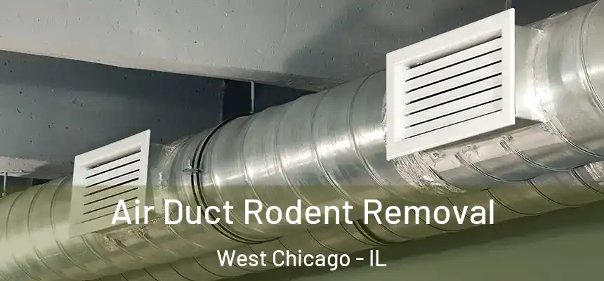 Air Duct Rodent Removal West Chicago - IL