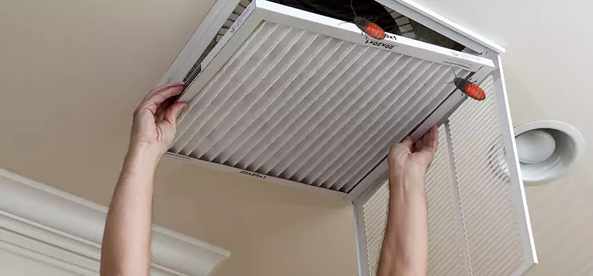Preventive Cockroach-Proofing for Ducts in West Chicago