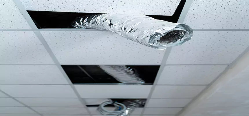 Affordable HVAC Sanitizing After Pest Removal in West Chicago