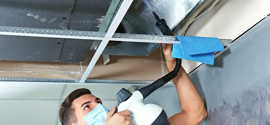 Our Air Duct Rodent Removal Services in West Chicago, IL