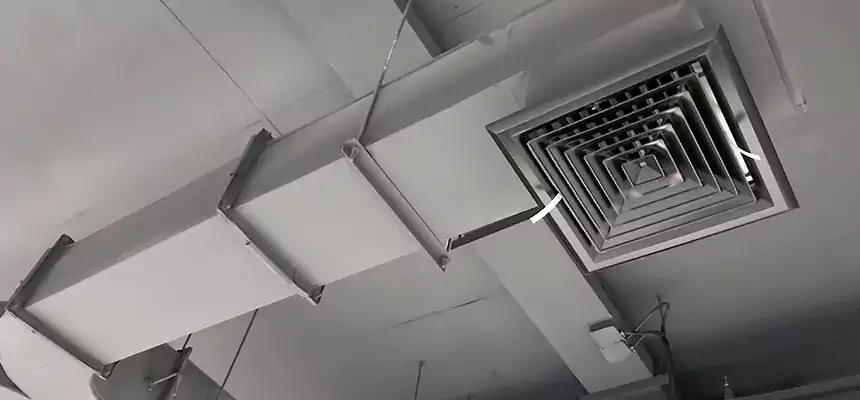 Restorative Allergy Relief Vent Cleaning – Coil, Blower & Housing Detail in West Chicago