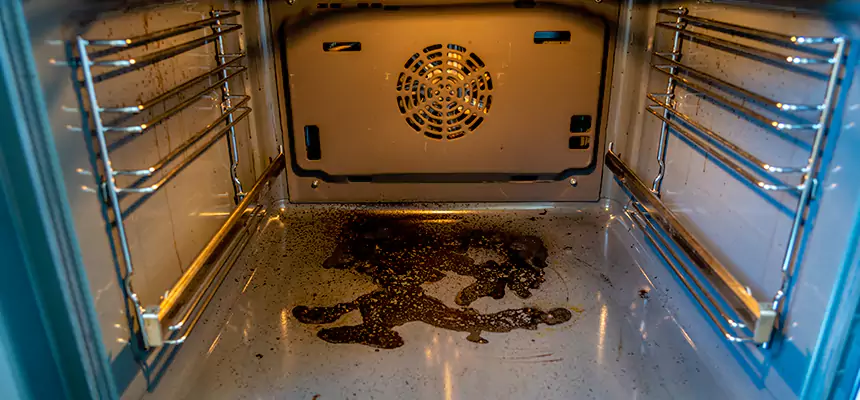 Our Dryer Vent Mold Cleaning Services in West Chicago, IL