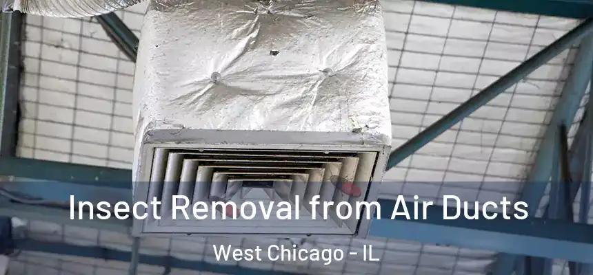  Insect Removal from Air Ducts West Chicago - IL