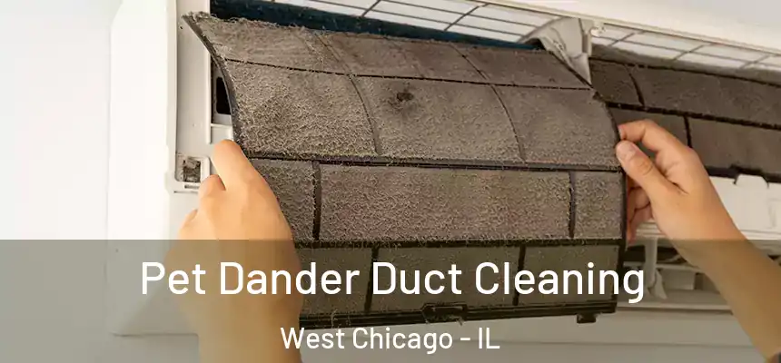 Pet Dander Duct Cleaning West Chicago - IL