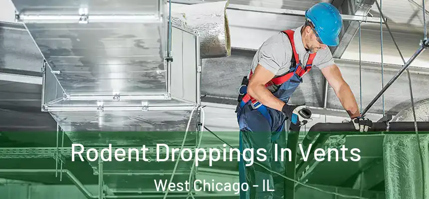 Rodent Droppings In Vents West Chicago - IL
