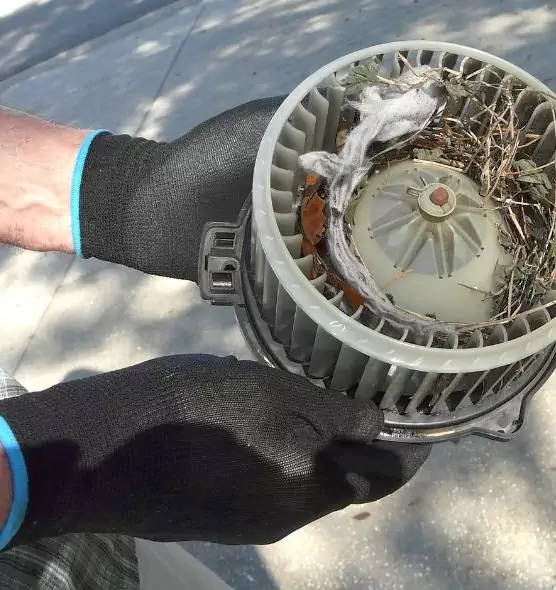 About Air Duct Mice Removal in West Chicago, IL