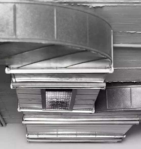 Professional Air Duct Pest Removal in West Chicago, IL