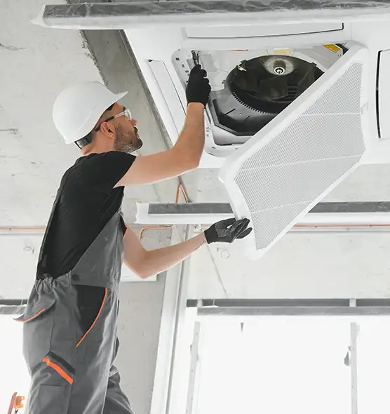 About Air Duct Rodent Removal in West Chicago, IL