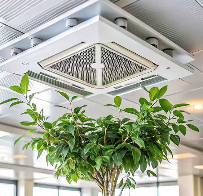 Why Homeowners & Businesses Trust Us in West Chicago, IL?