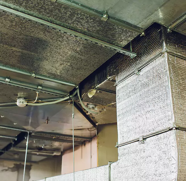 Why Homeowners & Businesses Trust Us in West Chicago, IL?